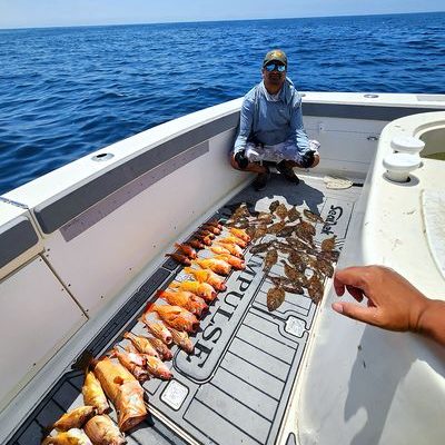 Young angler beaming with a bass by the marina. Young angler beaming with a bass by the marina.