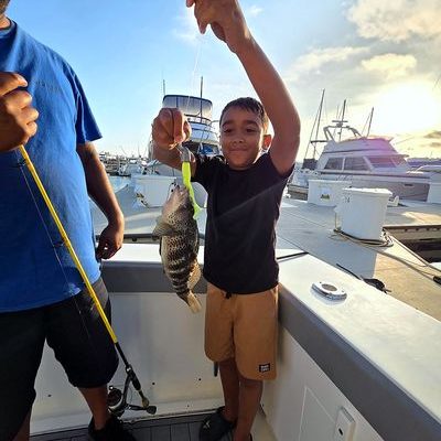Rockfish lineup—the day’s haul laid out on deck. Rockfish lineup—the day’s haul laid out on deck.