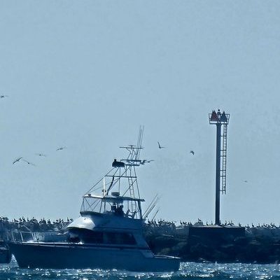 Impulse cruising past the harbor marker with seabirds overhead. Impulse cruising past the harbor marker with seabirds overhead.
