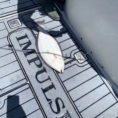 Deck moment with the crew—ocean rolling and spirits high. Deck moment with the crew—ocean rolling and spirits high.