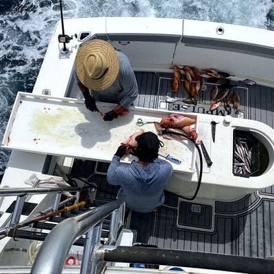 Freshly filleted catch on the Impulse cutting board. Freshly filleted catch on the Impulse cutting board.