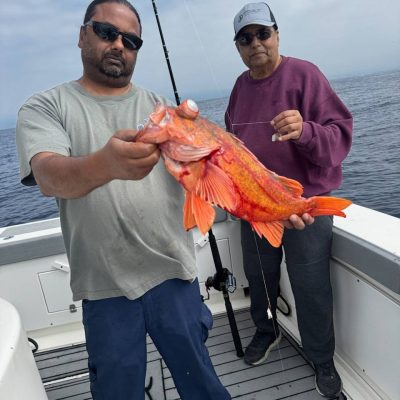 fishing_optimized_web